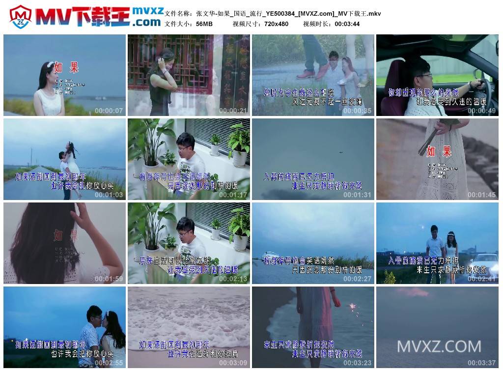 张文华-如果_国语_流行_YE500384